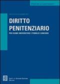 Diritto penitenziario. Per esami universitari e pubblici concorsi