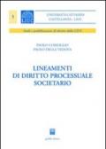 Lineamenti di diritto processuale societario