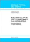 Il processo del lavoro e previdenziale davanti alla corte d'appello. Regole giuridiche e prassi giudiziarie