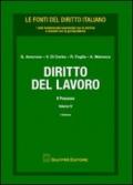 Diritto del lavoro. 4.Il processo