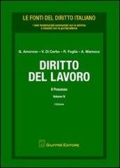 Diritto del lavoro. 4.Il processo