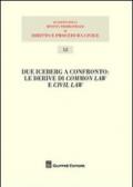 Due iceberg a confronto. Le derive del common law e civil law. Atti del 20° Seminario