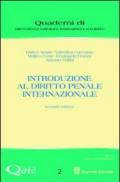 Introduzione al diritto penale internazionale