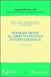 Introduzione al diritto penale internazionale