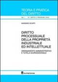 Diritto processuale della proprietà industriale ed intellettuale. Ordinamento amministrativo e tutela giurisdizionale