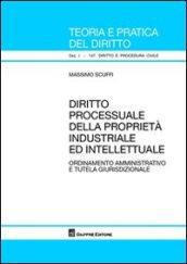 Diritto processuale della proprietà industriale ed intellettuale. Ordinamento amministrativo e tutela giurisdizionale