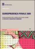 Giurisprudenza penale 2009. Guida ragionata per la prova scritta dell'esame di avvocato e magistrato ordinario