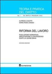 Riforma del lavoro. Evoluzione normativa, applicazione e contenzioso dopo la legge Biagi