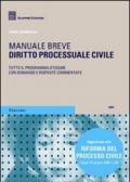 Diritto processuale civile. Manuale breve