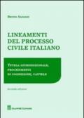 Lineamenti del processo civile italiano. Tutela giurisdizionale, procedimenti di cognizione, cautele