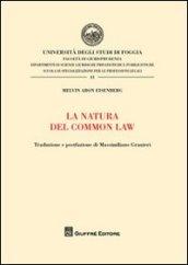 La natura del Common Law