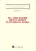 Dalla forma alle forme. Struttura e funzione del neoformalismo negoziale