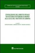 L'evoluzione del diritto penale nei settori d'interesse europeo alla luce del Trattato di Lisbona