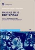 Diritto penale. Manuale breve