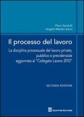 Il processo del lavoro. La disciplina processuale del lavoro privato, pubblico e previdenziale