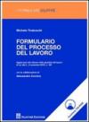 Formulario del processo del lavoro. Con CD-ROM