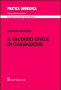 Il giudizio civile di Cassazione