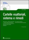 Castelle esattoriali, sistema e rimedi