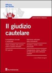 Il giudizio cautelare