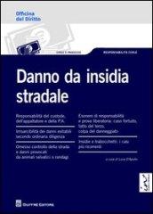 Danno da insidia stradale