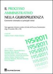 Il processo amministrativo nella giurisprudenza. Commento sistematico ai principali istituti