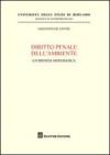 Diritto penale dell'ambiente. Un'ipotesi sistematica