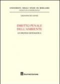 Diritto penale dell'ambiente. Un'ipotesi sistematica