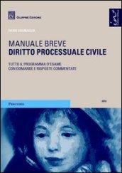 Diritto processuale civile. Manuale breve