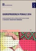 Giurisprudenza penale 2014. Guida ragionata per la prova scritta dell'esame di avvocato e magistrato ordinario