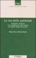 La via della qabbalah. Esegesi e mistica nel «Commento alla Torah» di Rabbi Bahya ben Aser