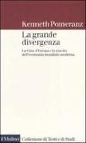 La grande divergenza. La Cina, l'Europa e la nascita dell'economia mondiale moderna