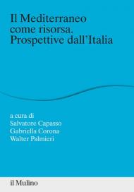 Il Mediterraneo come risorsa. Prospettive dall'Italia