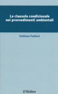La clausola condizionale nei provvedimenti ambientali