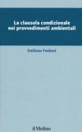 La clausola condizionale nei provvedimenti ambientali