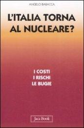 L'Italia torna al nucleare. I costi, i rischi, le bugie