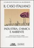 Il caso italiano. Industria, chimica e ambiente. Con CD-ROM