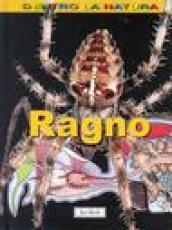 Il ragno