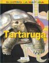 La tartaruga