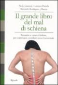 Il grande libro del mal di schiena. Prevenire e curare il dolore, per continuare a condurre una vita normale