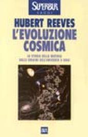 L'evoluzione cosmica