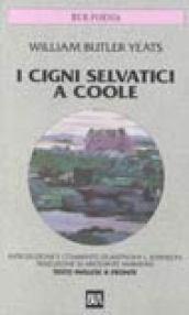 I cigni selvatici a Coole