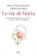 Le vie di Maria. Storie di pellegrinaggio e conversione a Lourdes, Fatima e Medjugorje