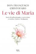 Le vie di Maria. Storie di pellegrinaggio e conversione a Lourdes, Fatima e Medjugorje