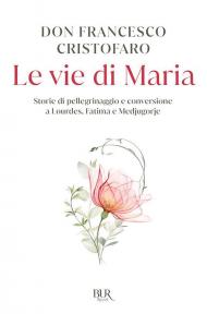 Le vie di Maria. Storie di pellegrinaggio e conversione a Lourdes, Fatima e Medjugorje