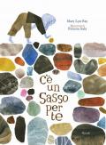 C'è un sasso per te. Ediz. a colori