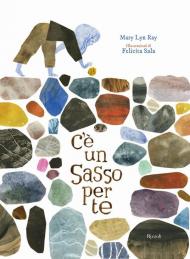 C'è un sasso per te. Ediz. a colori