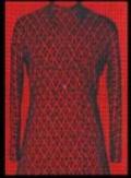 Valentino's red book