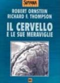 Il cervello e le sue meraviglie