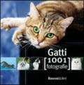 Gatti