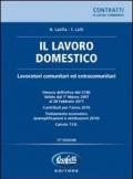 Il lavoro domestico